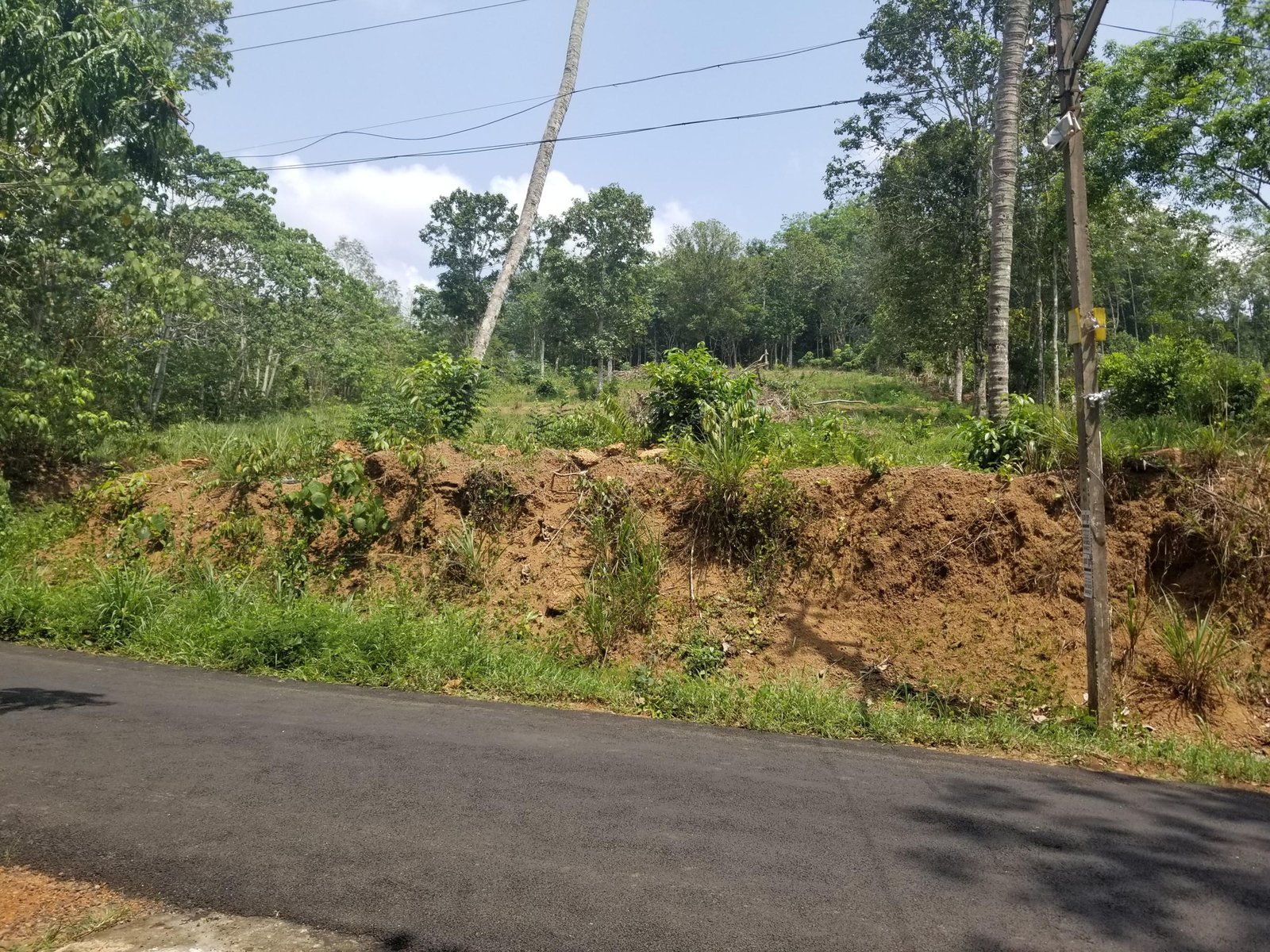 20190601_110724 Plot suitable for Villa Projects Kottayam