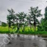 Land for sale in Kannadi