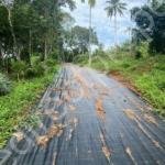 Land for Sale in Chengannur