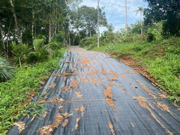 Land for Sale in Chengannur