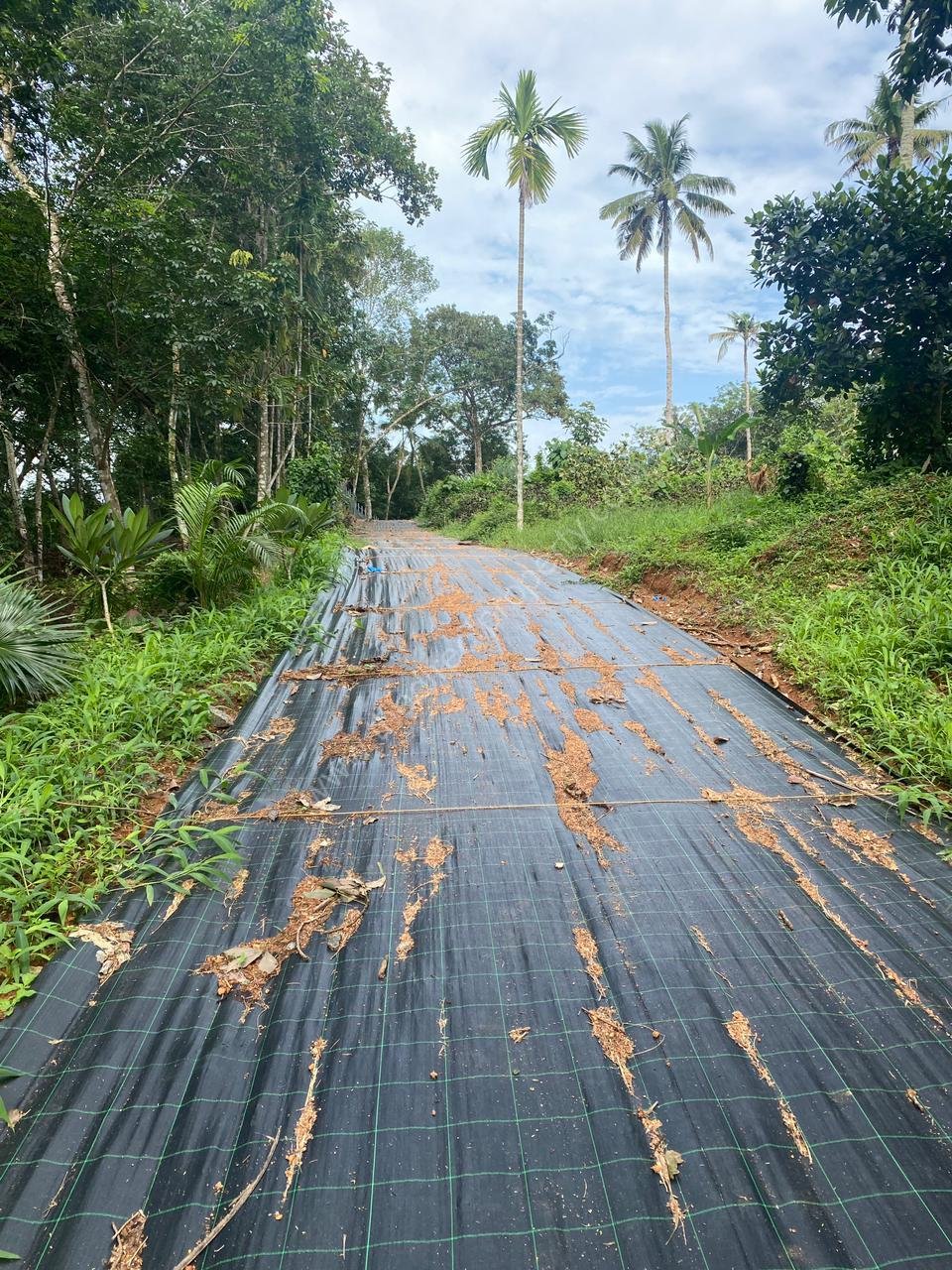 5 Land for Sale in Chengannur