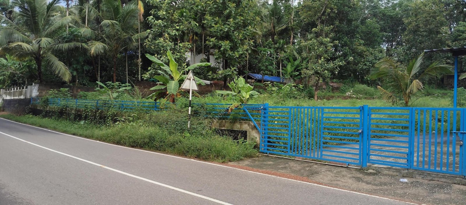 6 Roadside property