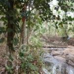 Agricultural Property for sale in Kasaragod