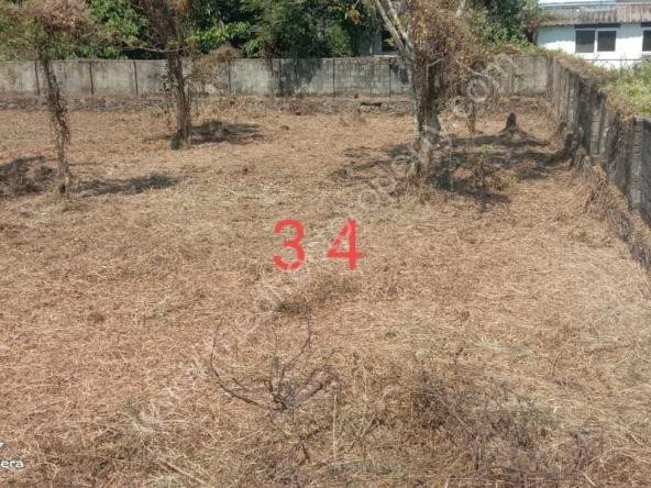 Residential plots in Eroor North Kochi