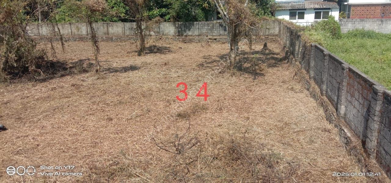 IMG-20250102-WA0006 Residential plots in Eroor North Kochi