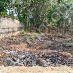 Plot for sale in Nellimoottil Adoor