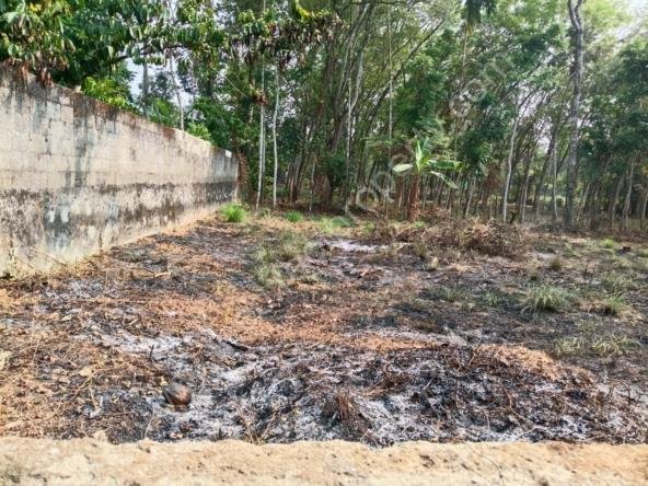 Plot for sale in Nellimoottil Adoor