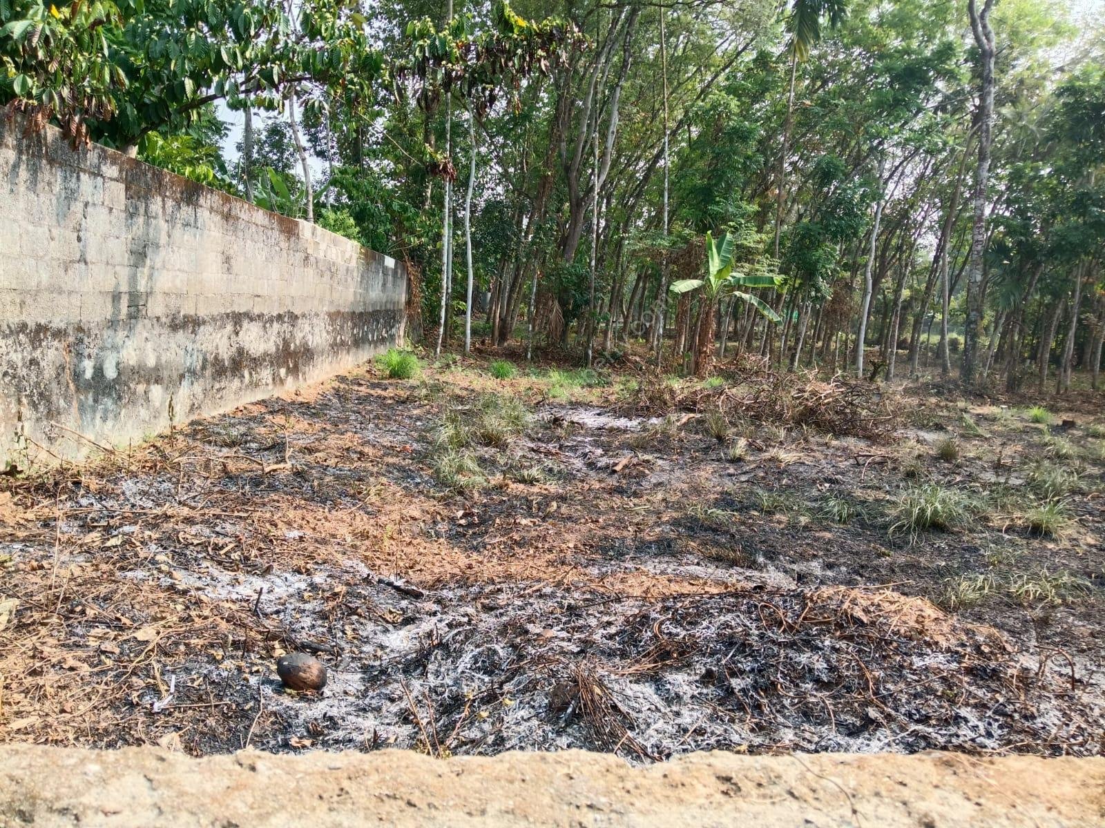 Plot for sale in Nellimoottil Adoor