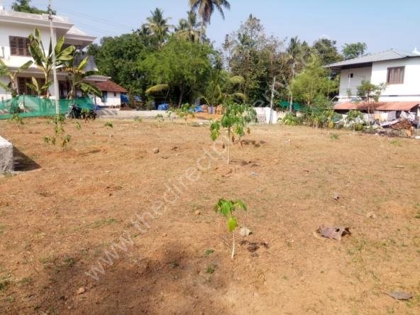 Land & Plot for Sale in Aluva