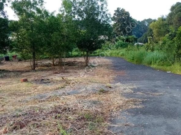 property for sale in Taliparamba