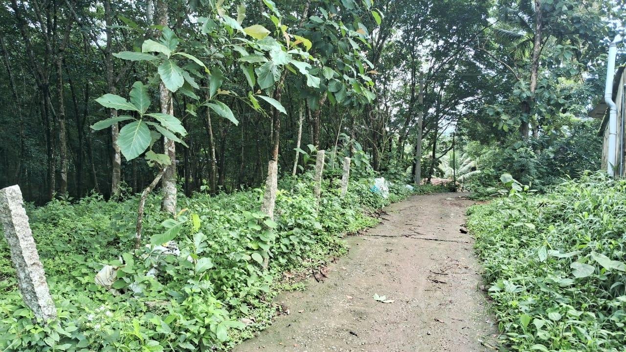 Rubber plantation for sale in Karamcode Kollam