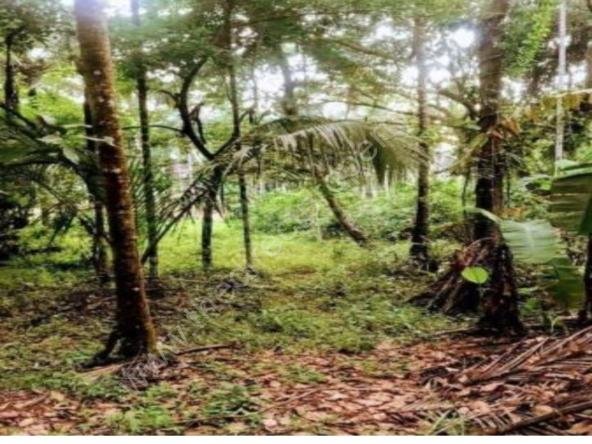 Plot/land for sale in Mahe