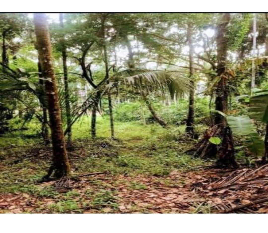 Plot/land for sale in Mahe
