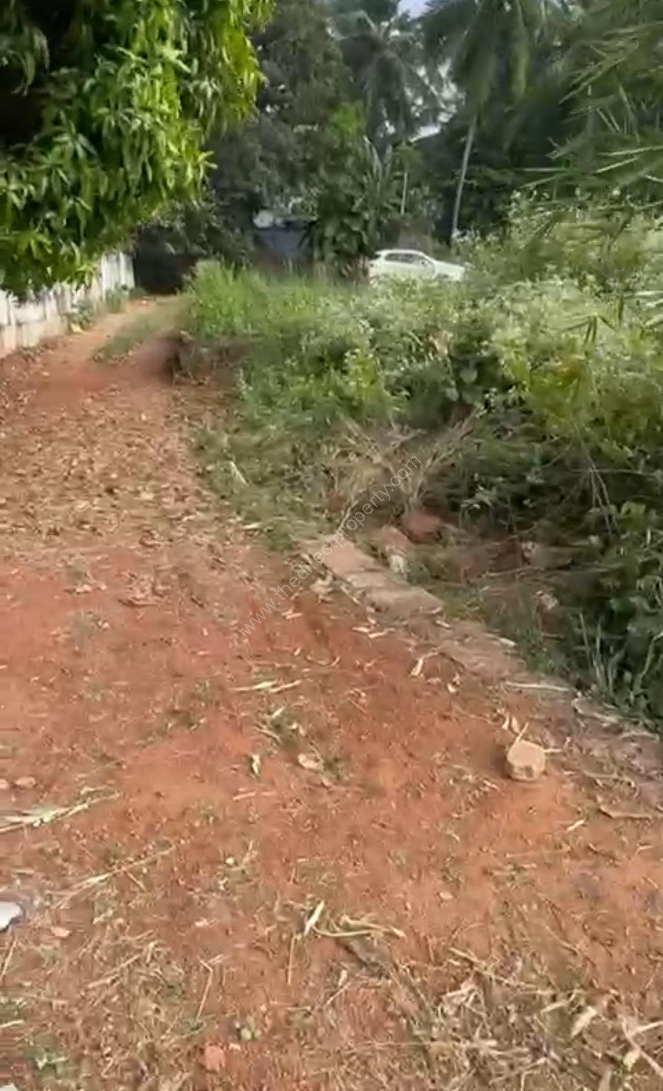 IMG_4085 Plot for Sale in Edapal