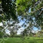 plot for sale near Cochin International Airport