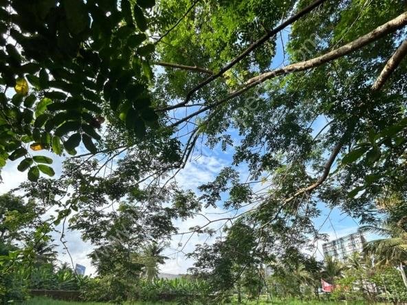 plot for sale near Cochin International Airport