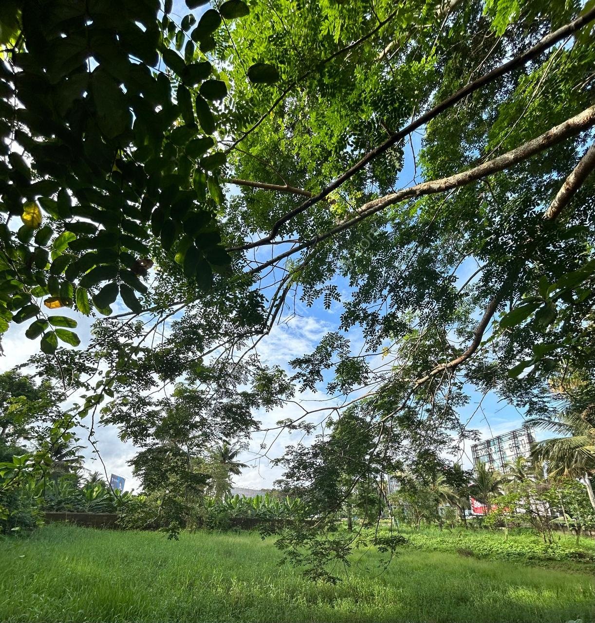 plot for sale near Cochin International Airport