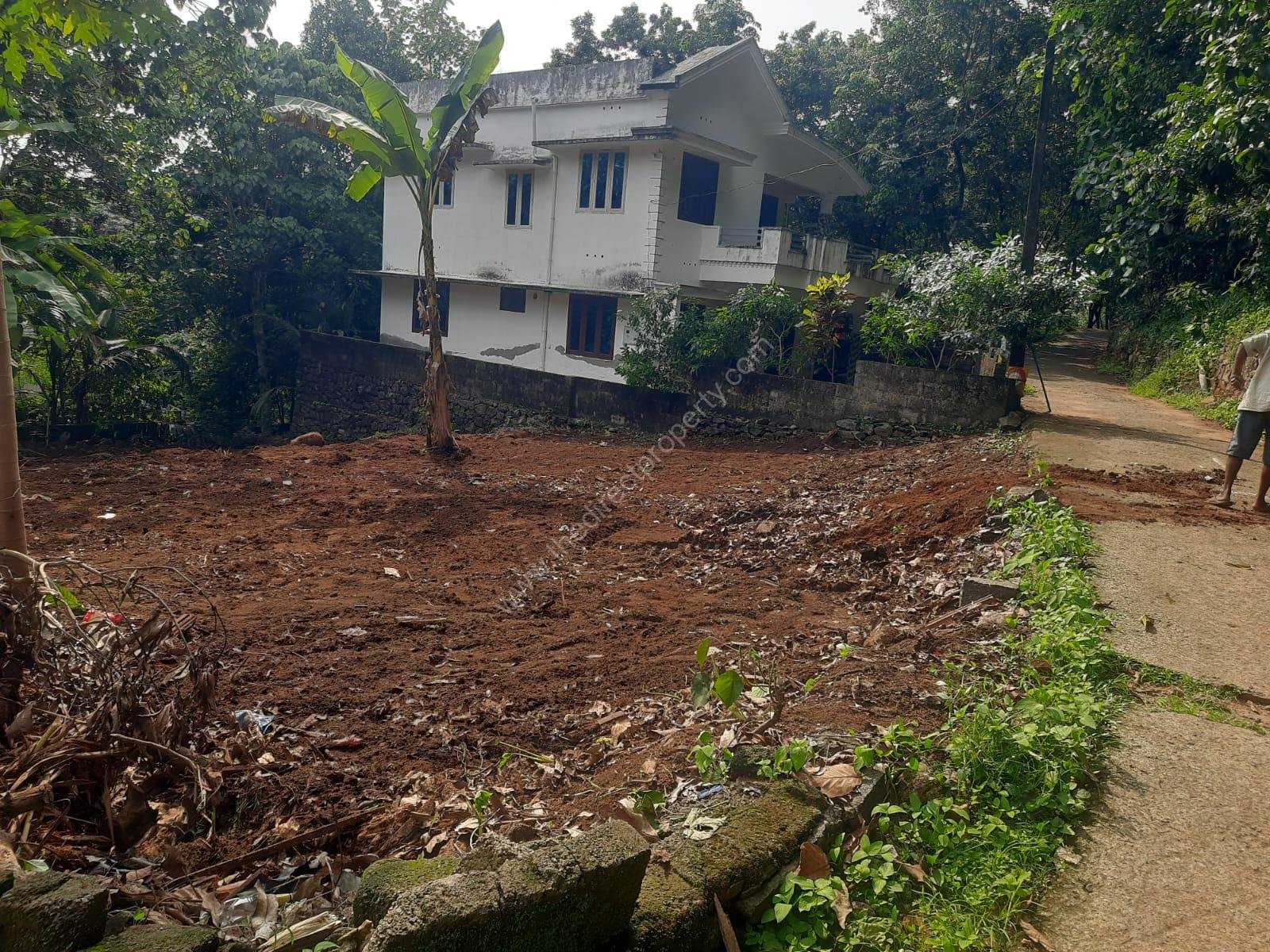 P1 Land for Sale in Thadiyoor