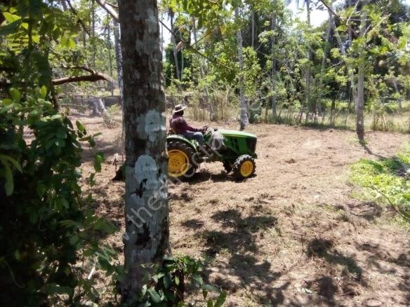 Land for Sale in Karayamuttam