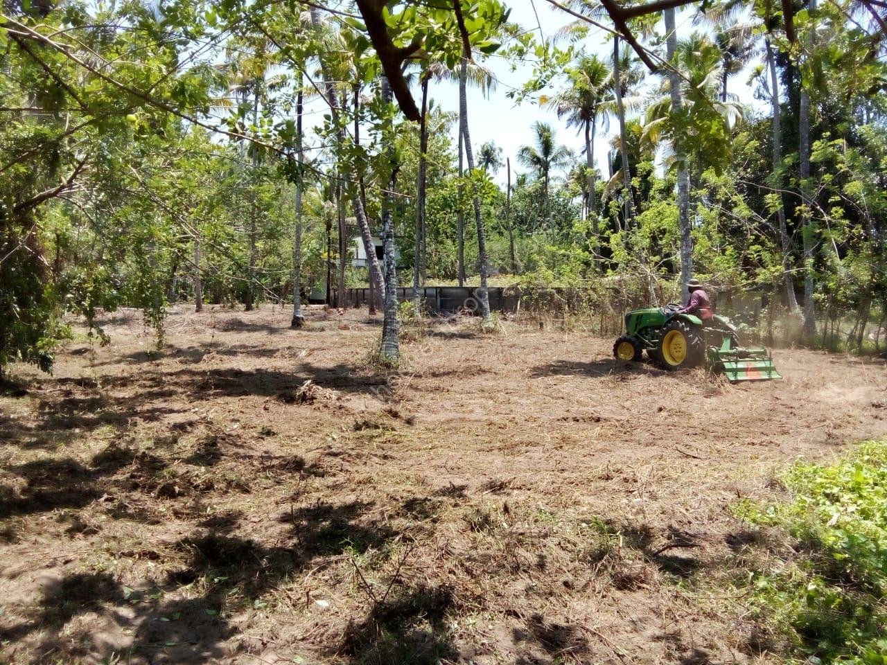 WhatsApp Image 2025-04-29 at 2.51.58 PM