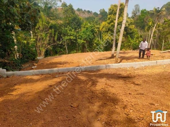 Land For Sale in Vencode
