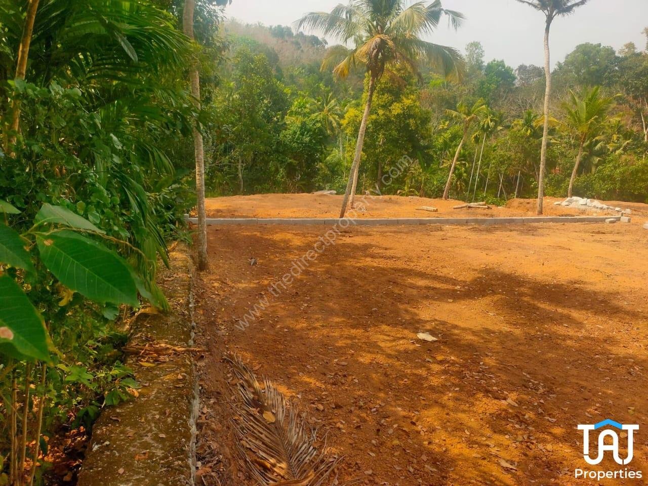 WhatsApp Image 2025-05-31 at 1.33.09 PM (2)