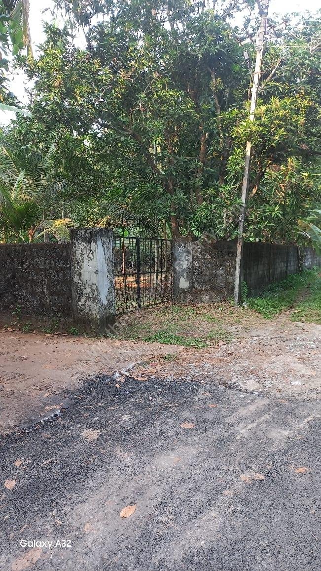 WhatsApp Image 2025-06-02 at 22.12.08