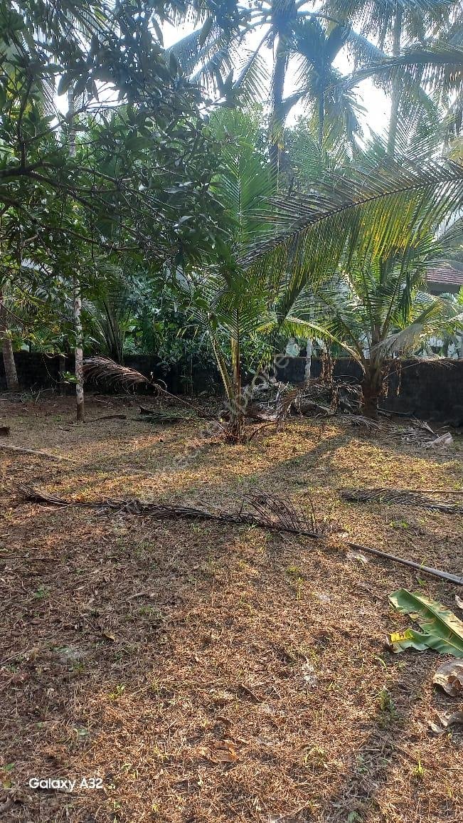 WhatsApp Image 2025-06-02 at 22.12.12