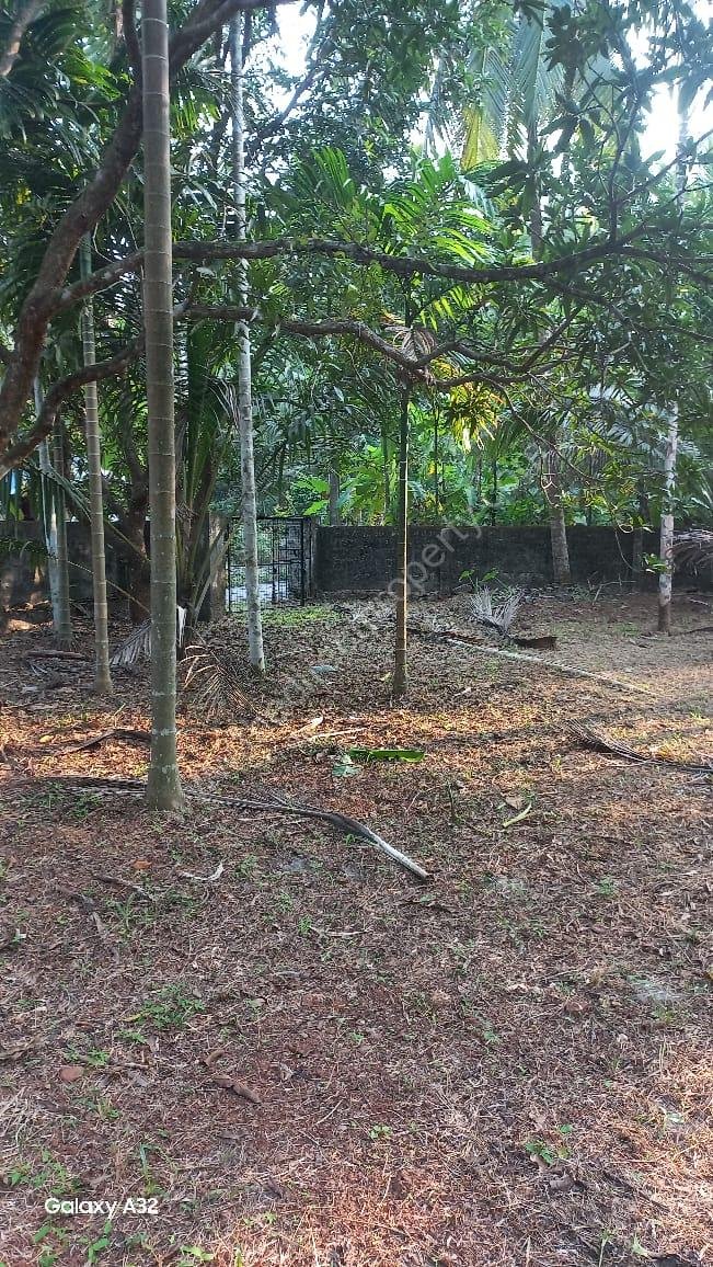 WhatsApp Image 2025-06-02 at 22.12.16