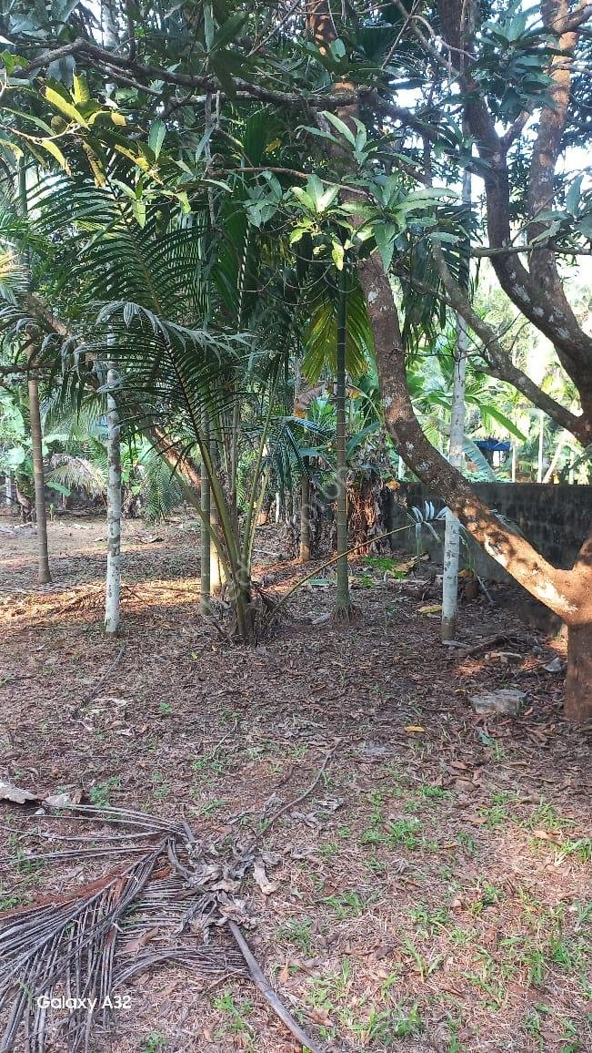 WhatsApp Image 2025-06-02 at 22.12.18