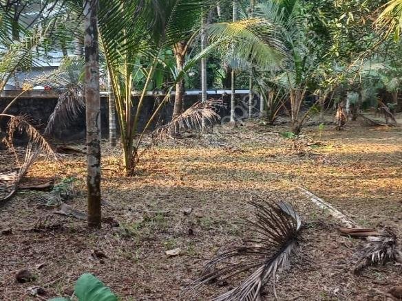 land for sale in uppumpetty
