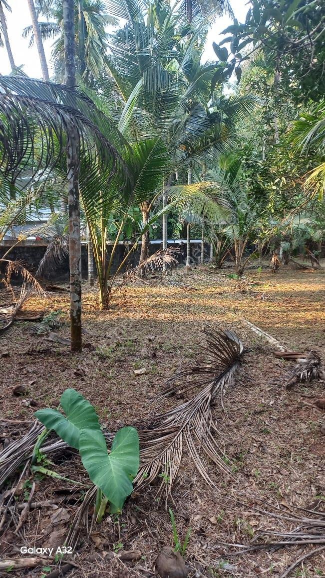 WhatsApp Image 2025-06-02 at 22.12.20 land for sale in uppumpetty