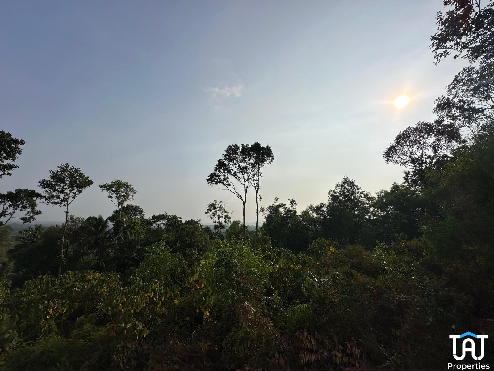 WhatsApp Image 2025-06-04 at 6.04.06 PM (1)