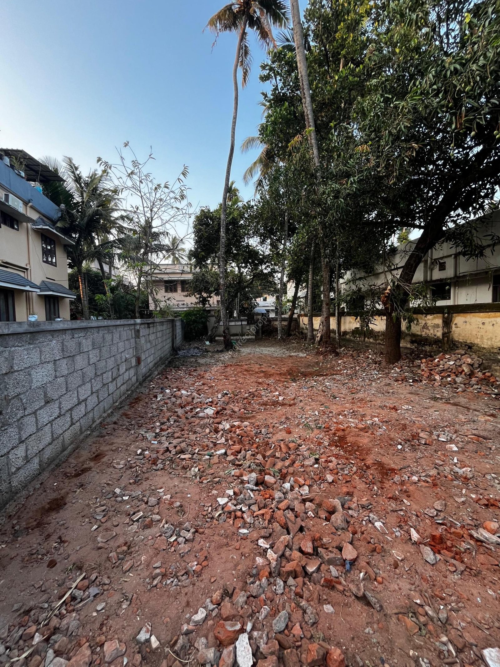 WhatsApp Image 2025-06-07 at 08.38.16 (3)