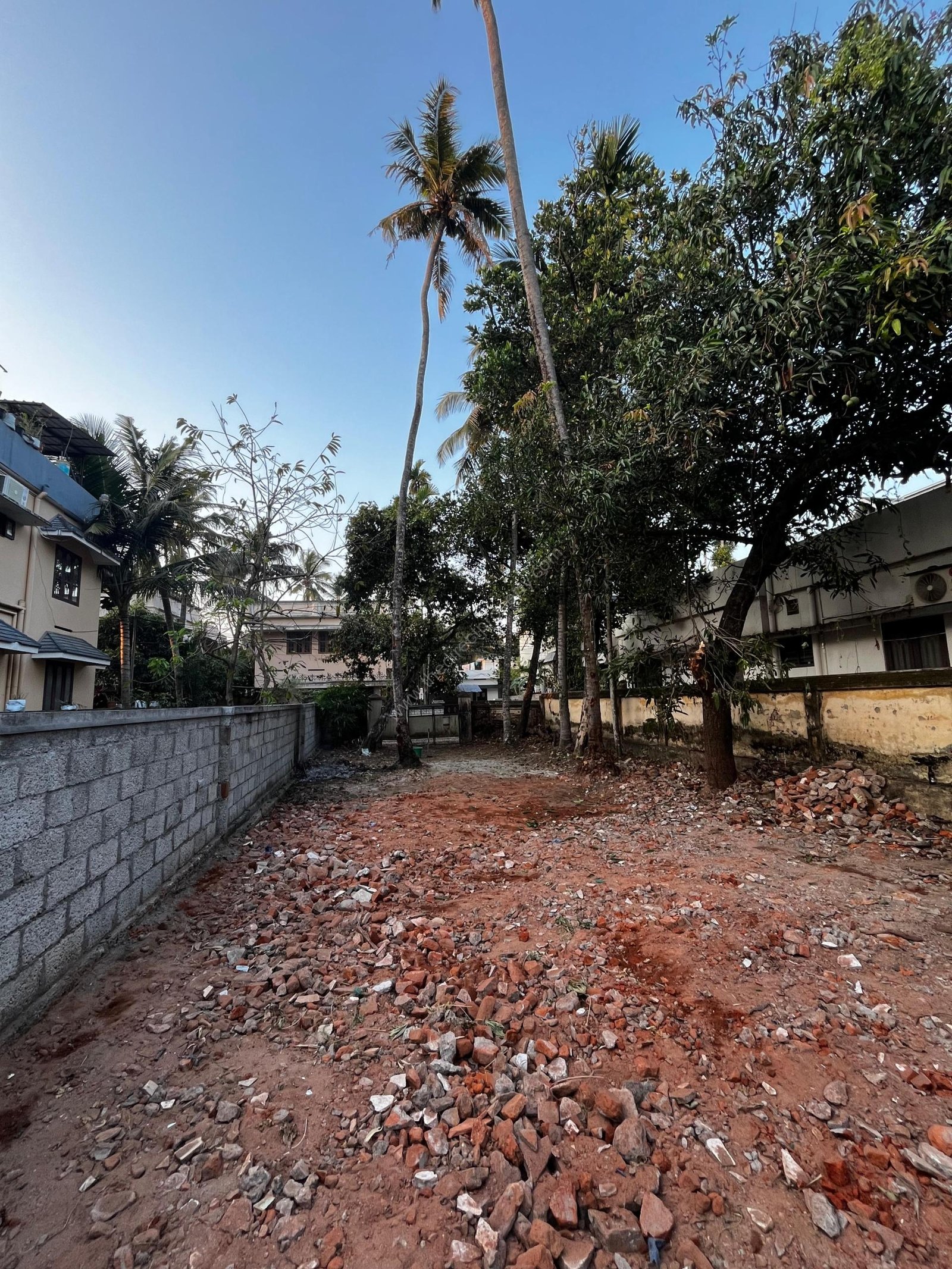 WhatsApp Image 2025-06-07 at 08.38.19