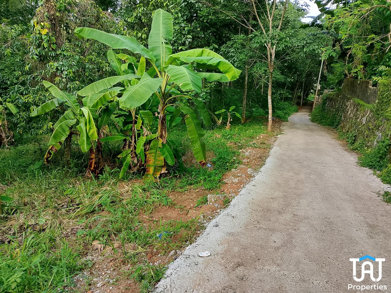 WhatsApp Image 2025-06-18 at 5.41.29 PM