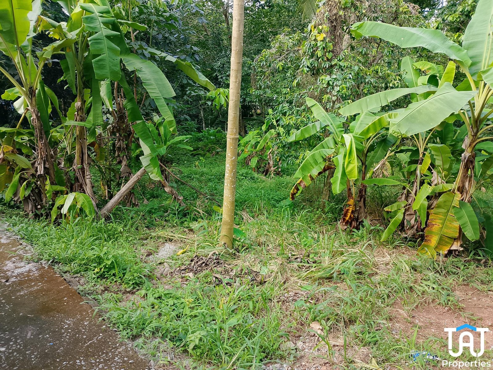 WhatsApp Image 2025-06-18 at 5.41.31 PM