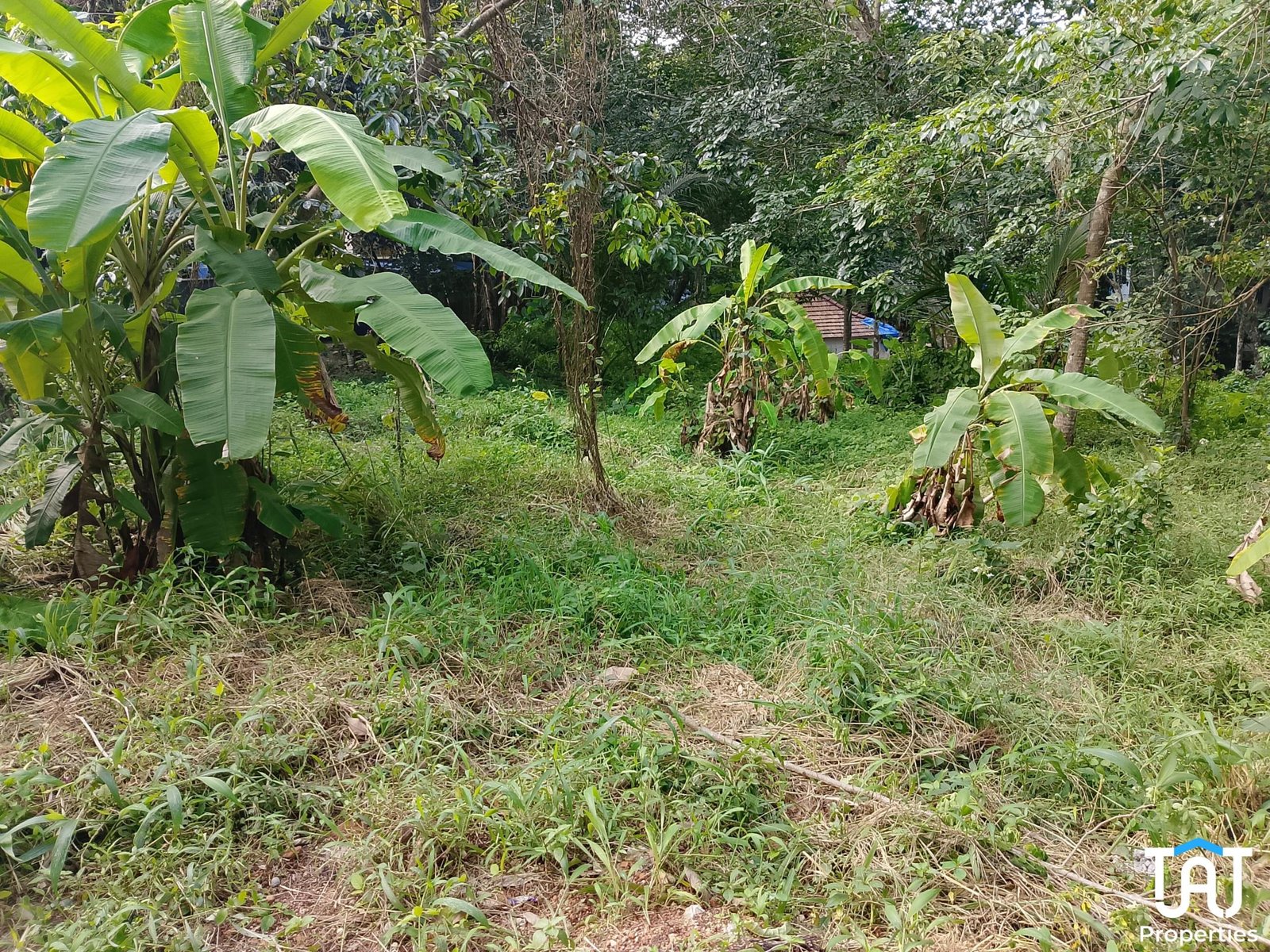 WhatsApp Image 2025-06-18 at 5.41.32 PM