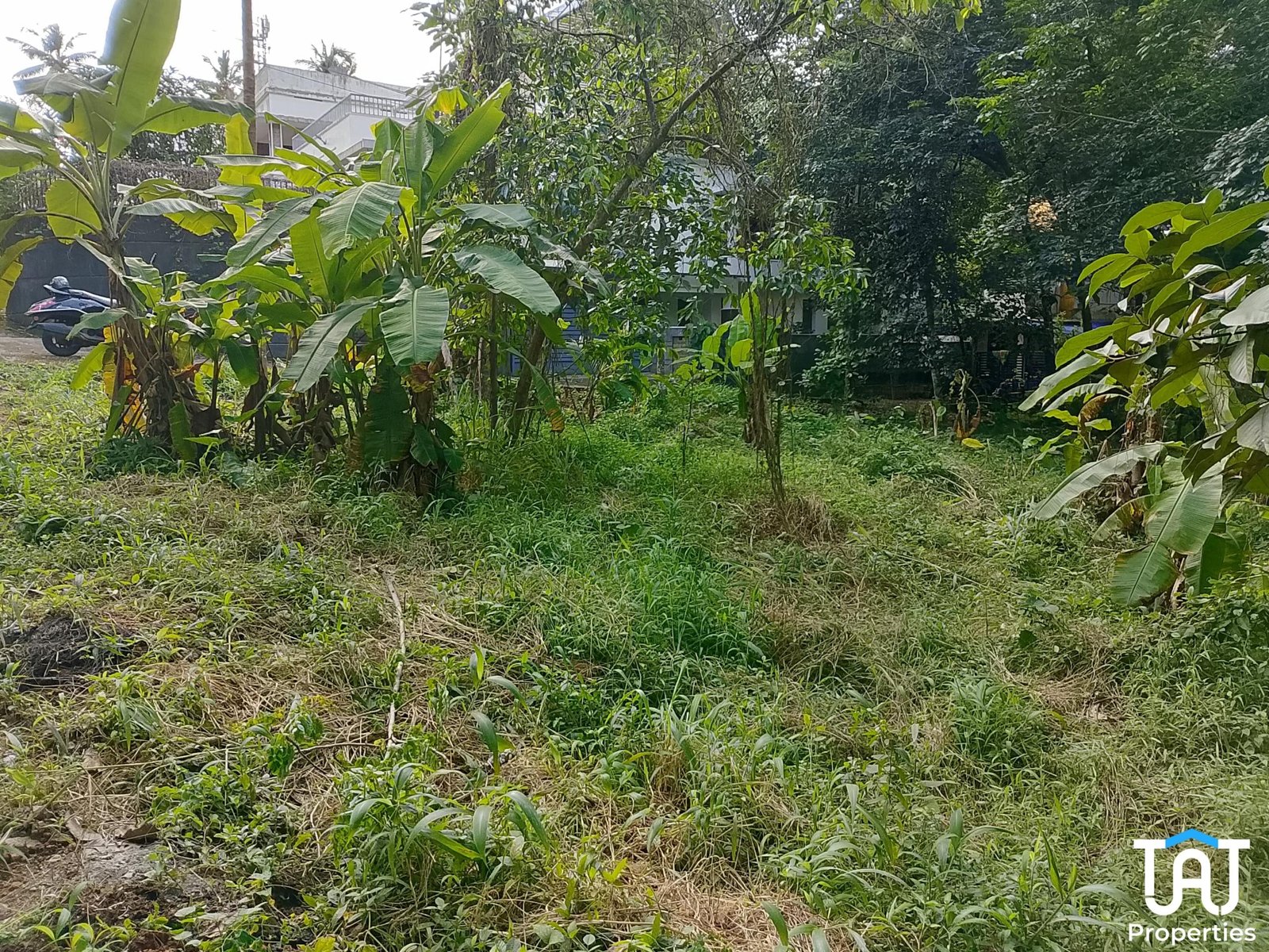 WhatsApp Image 2025-06-18 at 5.41.39 PM