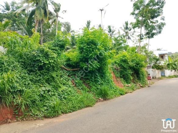 Land For Sale in Kidarakkuzhy Venganoor