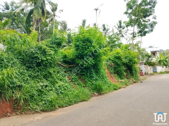 Land For Sale in Kidarakkuzhy Venganoor