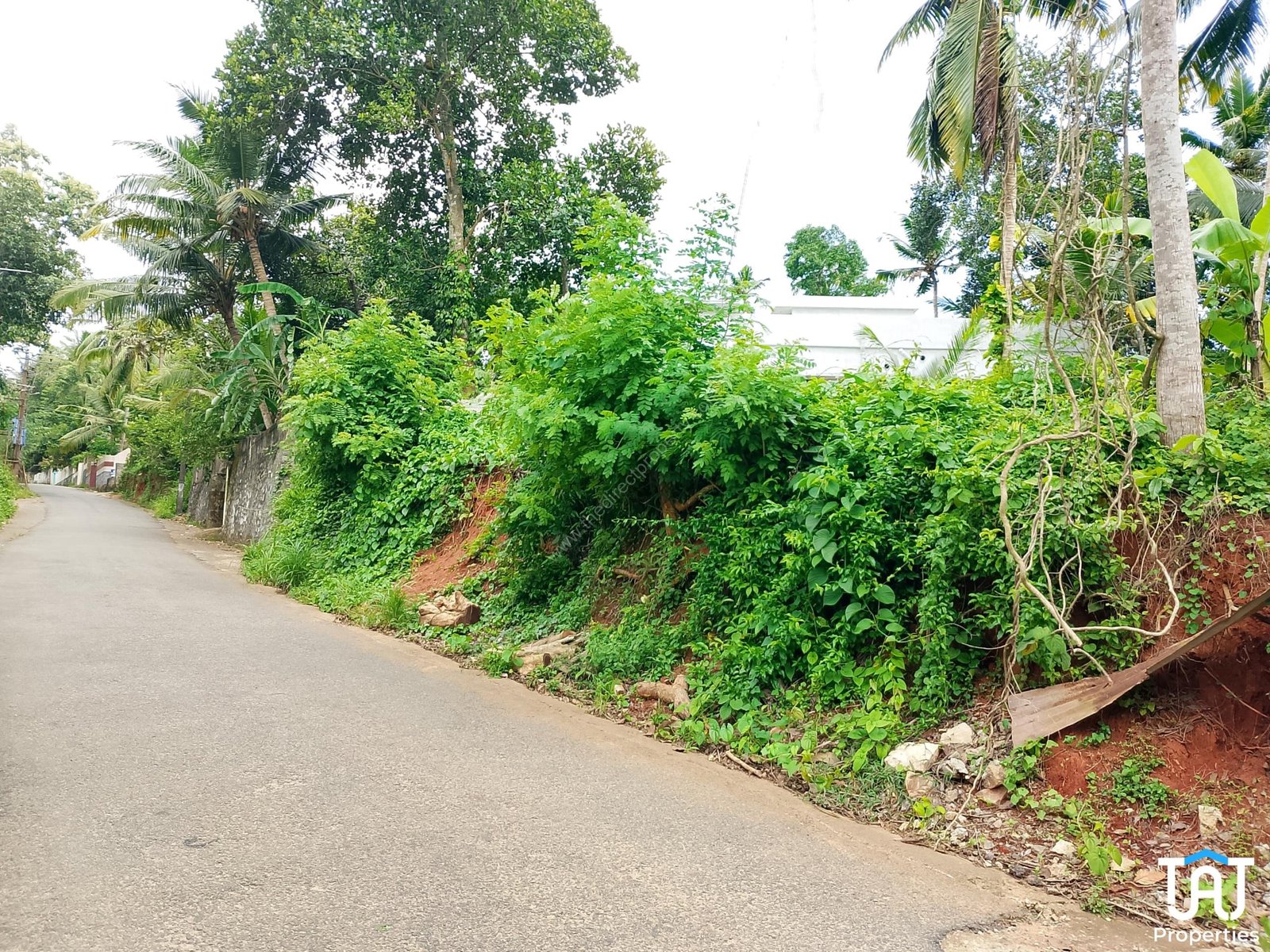 WhatsApp Image 2025-06-21 at 12.36.38 PM