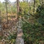 Land for Sale in Kuravankuzhi Pullad