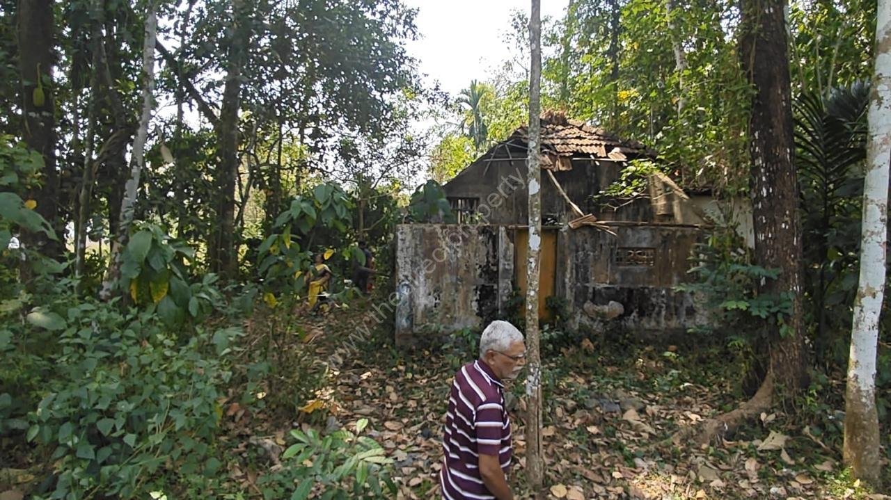 WhatsApp Image 2025-06-22 at 10.47.06 AM