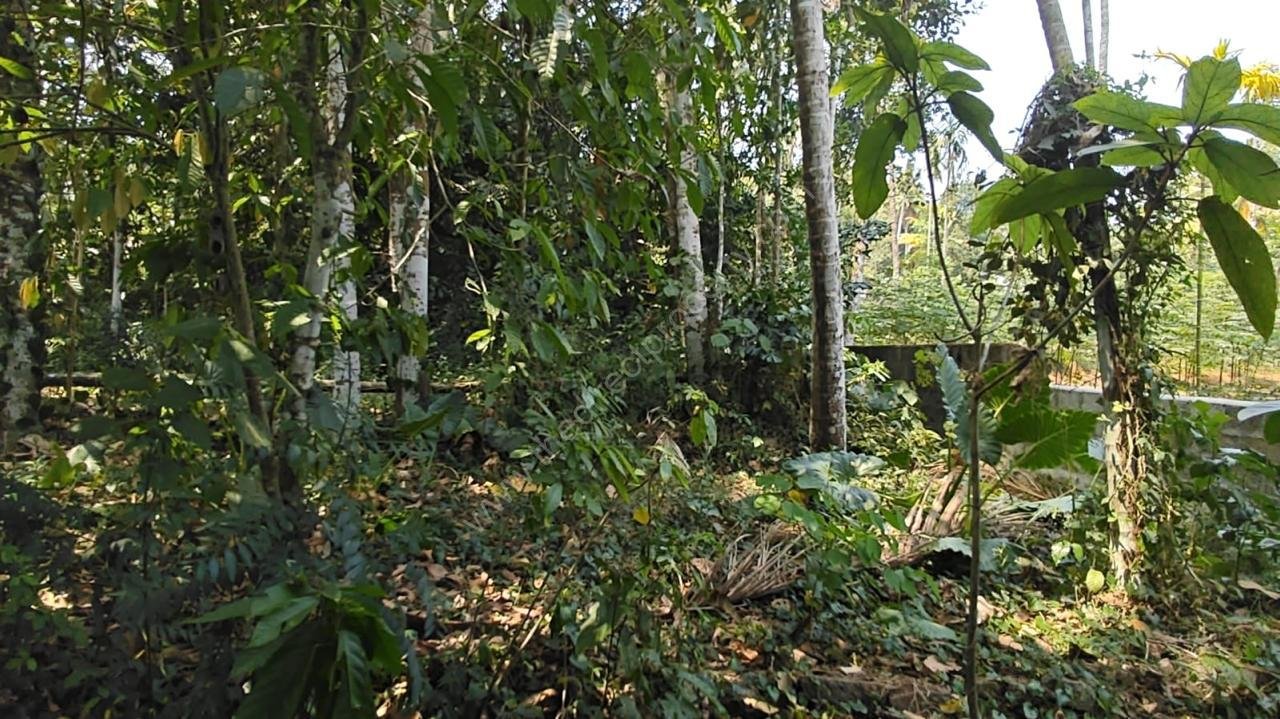 WhatsApp Image 2025-06-22 at 10.47.07 AM (1)