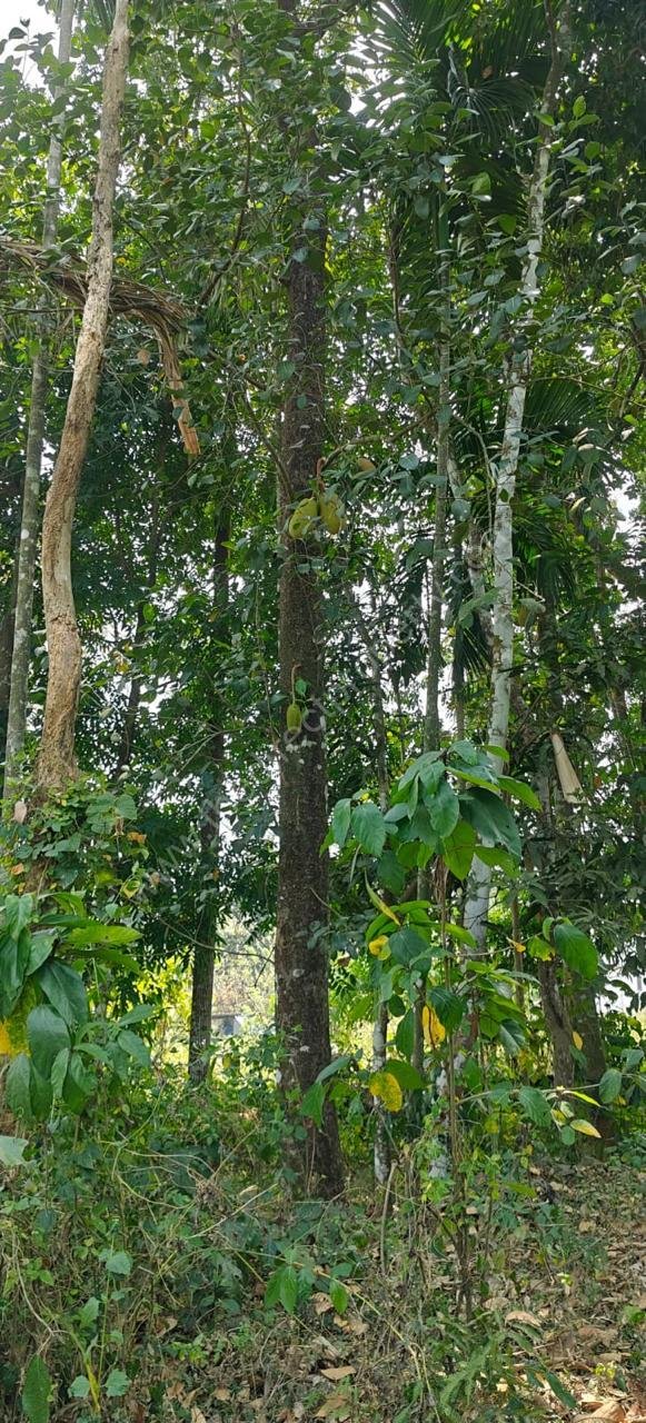 WhatsApp Image 2025-06-22 at 10.47.07 AM