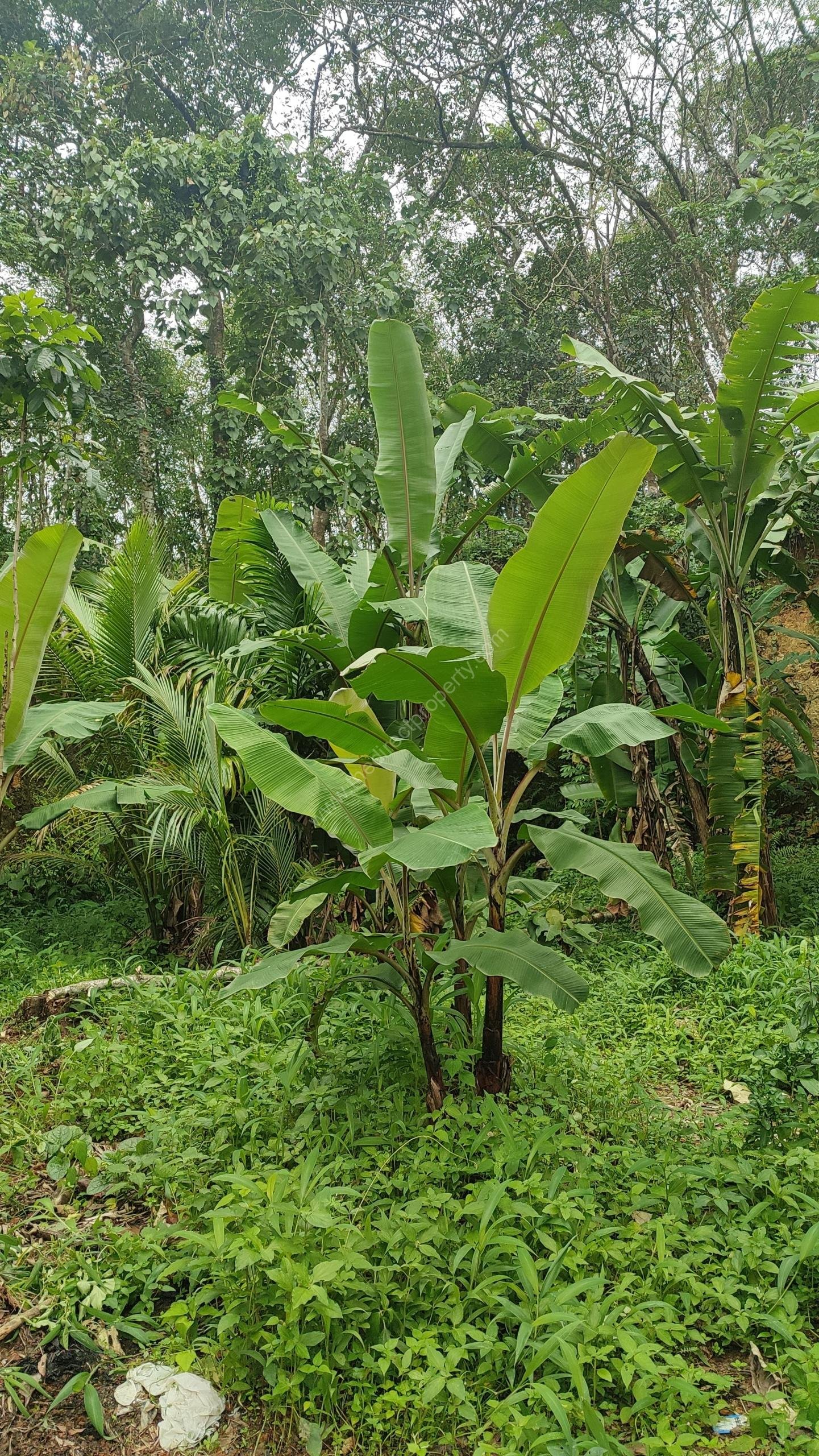 WhatsApp Image 2025-06-25 at 4.04.08 PM (1)