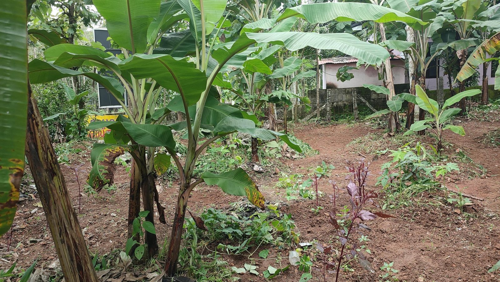 WhatsApp Image 2025-06-25 at 4.04.08 PM