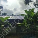Land for sale in Ezhamkulam