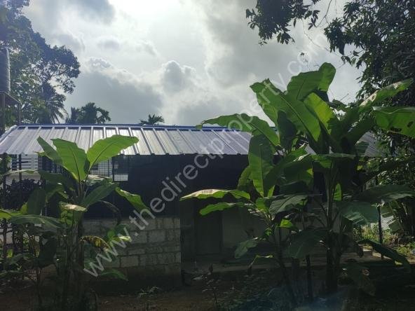 Land for sale in Ezhamkulam